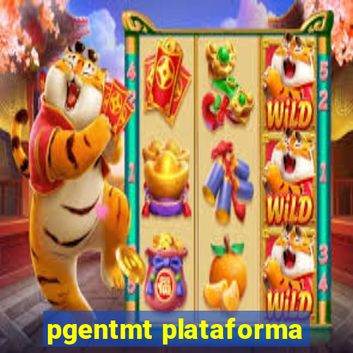 pgentmt plataforma